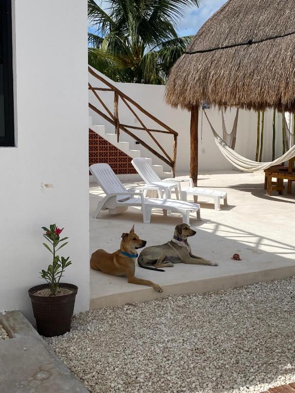 Fotografie z fotogalerie ubytování Casa Loto A v destinaci Chelem