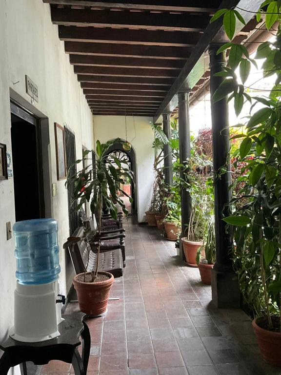 Fotografie z fotogalerie ubytování Hotel Spring v destinaci Guatemala