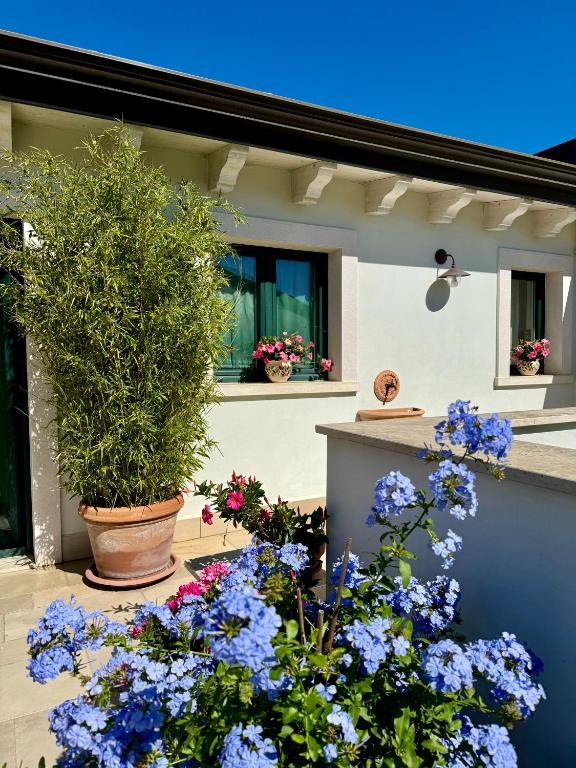 a garden with flowers in front of a house at Stella in Terlizzi