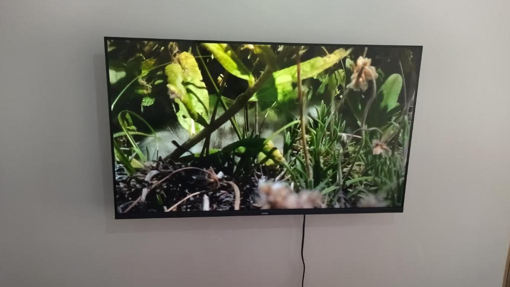 TV a/nebo společenská místnost v ubytování Tsavo Studio Fedha