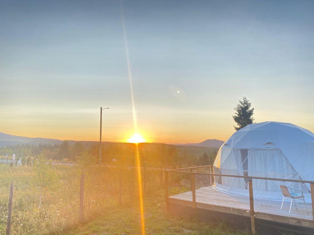 Příroda nedaleko luxury tent