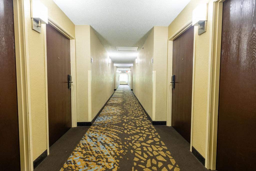 Sleep Inn Ormond Beach - Daytona photo