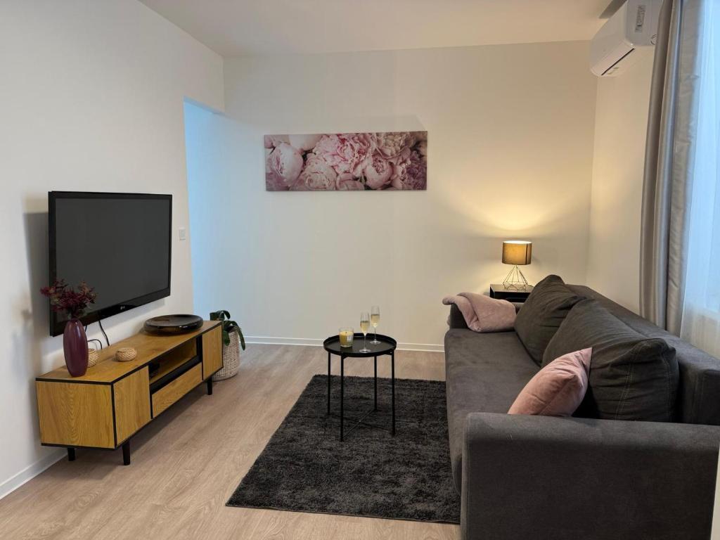 TV a/nebo společenská místnost v ubytování Apartmány U Kostela