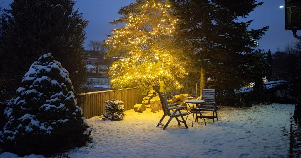 a yard with a christmas tree with lights on it at Guest House KRISTI in Tuchoměřice