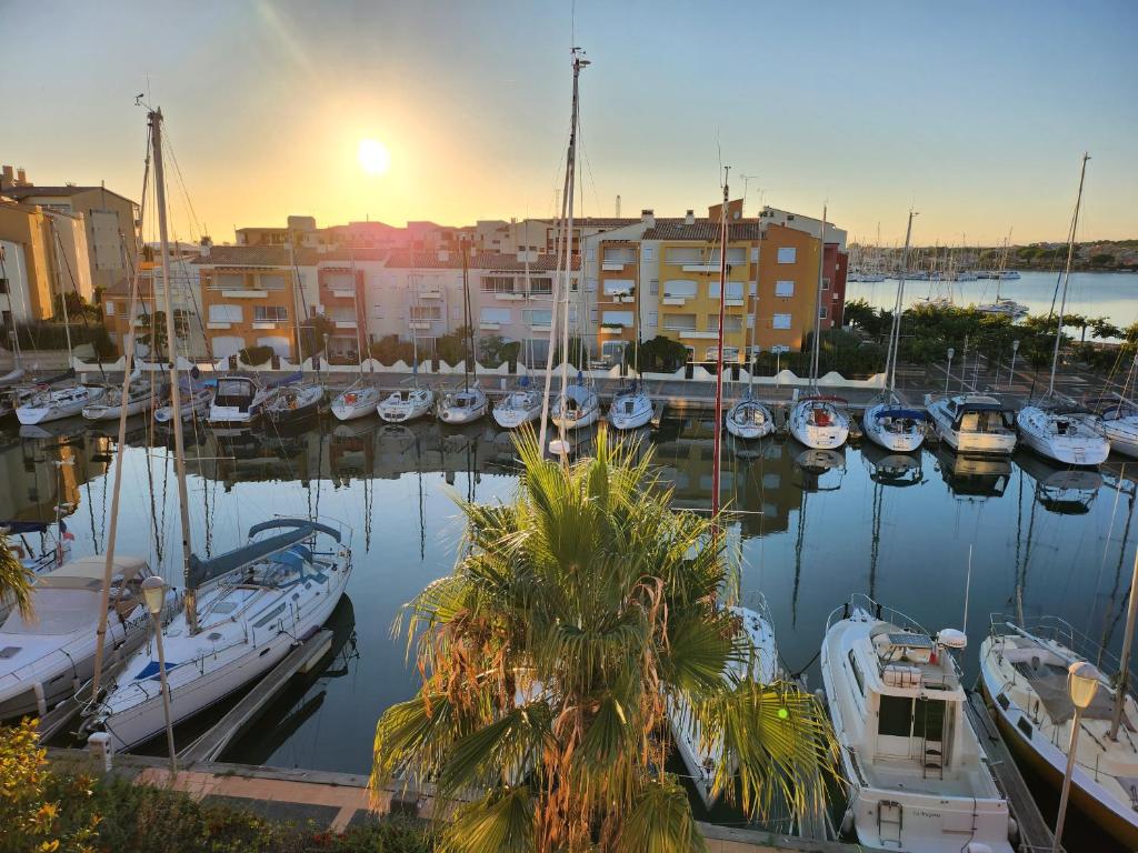 un groupe de bateaux amarrés dans une marina au coucher du soleil dans l'établissement Appartement vue mer Ambassade du Soleil, au Cap d'Agde