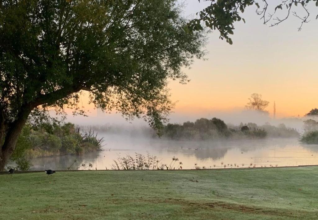 Calm Swan Villa - Resim 10