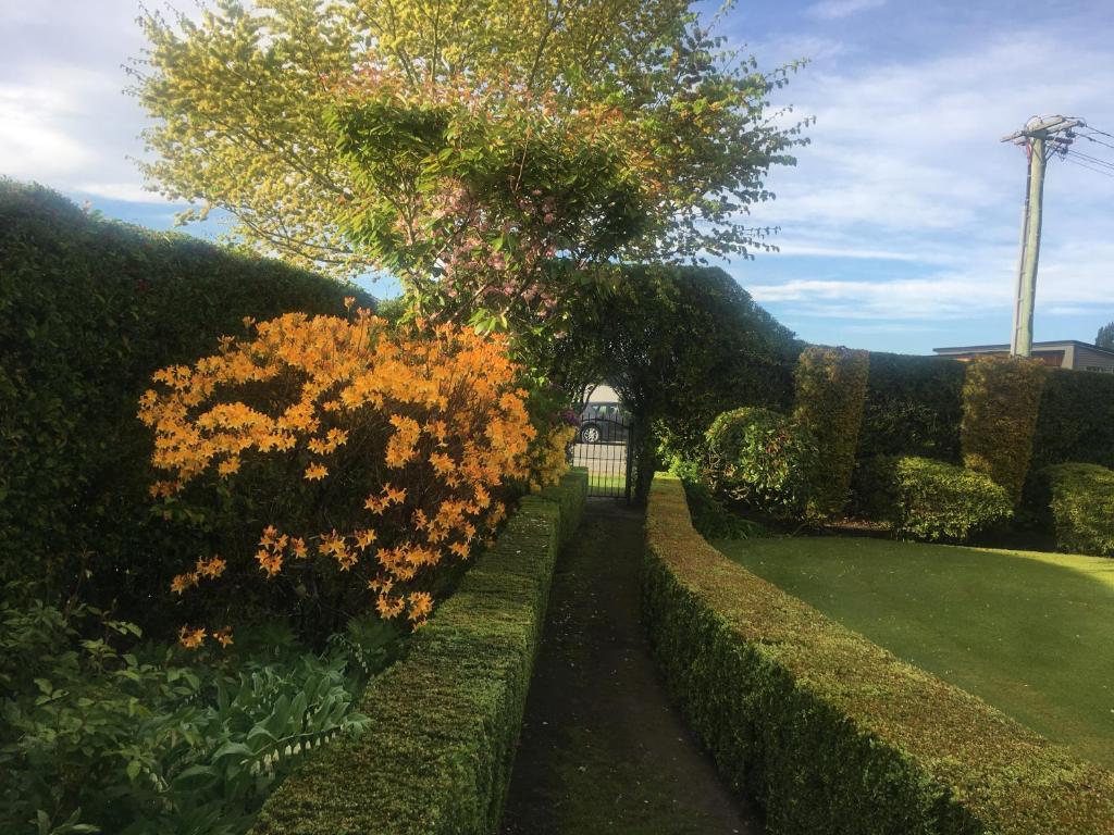 Calm Swan Villa - Resim 38