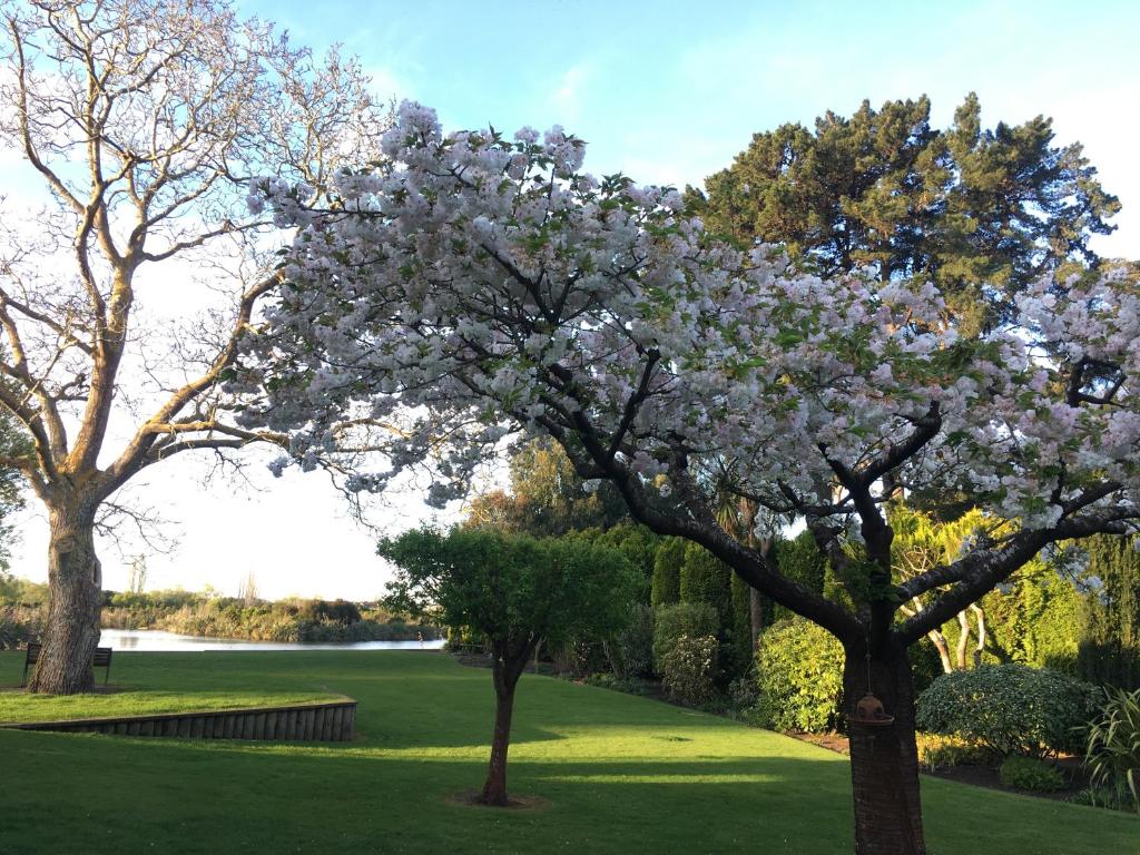 Calm Swan Villa - Resim 41