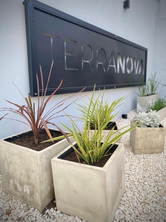 three plants in concrete pots in front of a sign at Departamento TERRANOVA un refugio tranquilo en el corazón de La Falda in La Falda