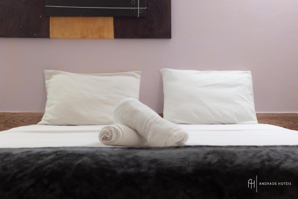 Rede Andrade Plaza Recife - Double Room