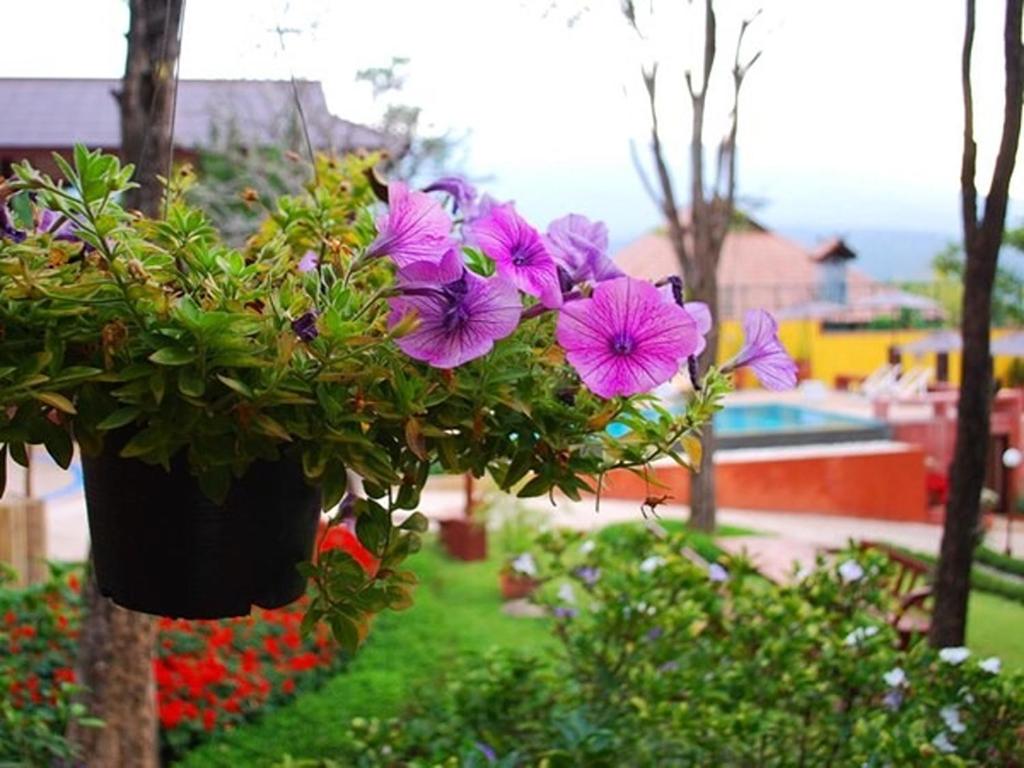 Insda Wellness Resort - Resim 9