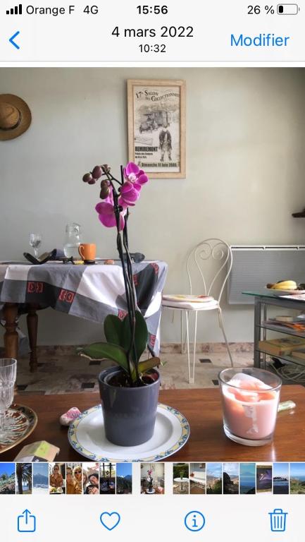 une fleur dans un pot sur une table dans une pièce dans l'établissement Chez Petra, à Vernet-les-Bains