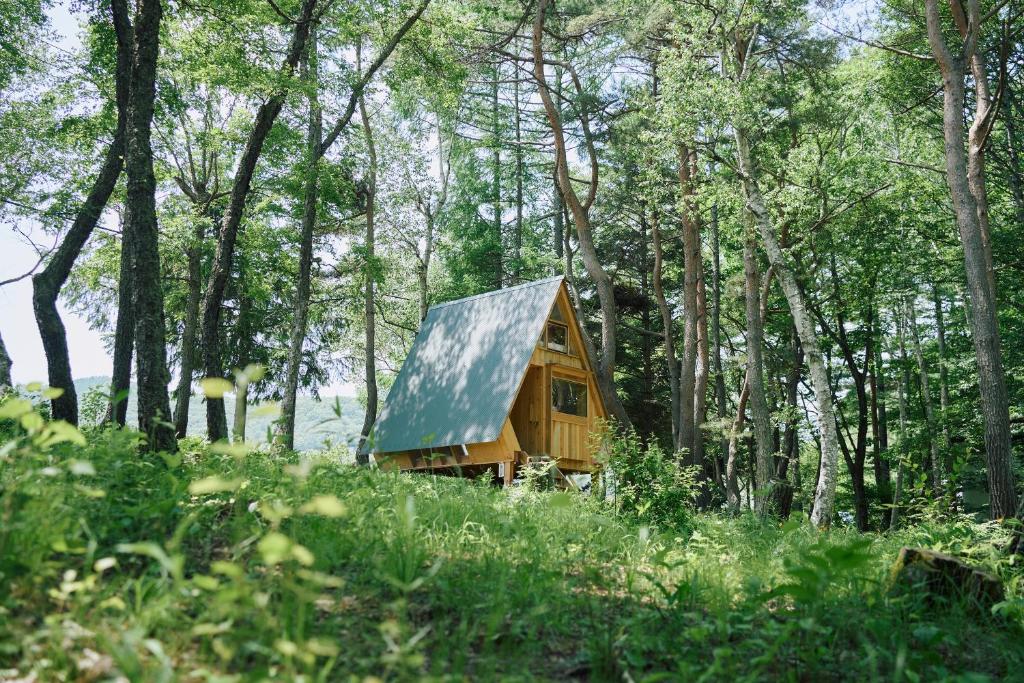 Příroda nedaleko kempu