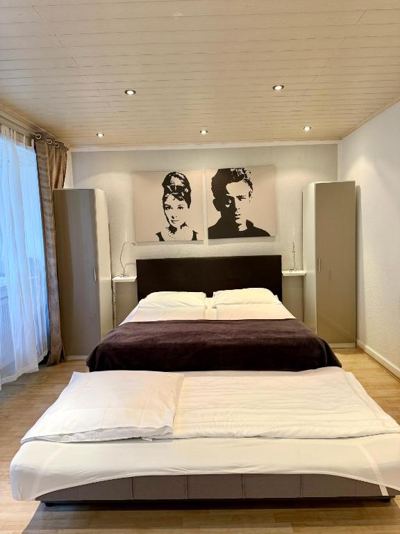Altstadthotel Hayk am Rhein - 经济公寓，带2间卧室没有莱茵河景观