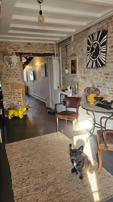 - un salon avec un chien assis sur un tapis dans l'établissement Maison de ville, à Louhans