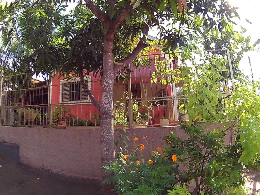 un árbol frente a un edificio con una valla en Casa para temporada da Vó Cida, en Olímpia