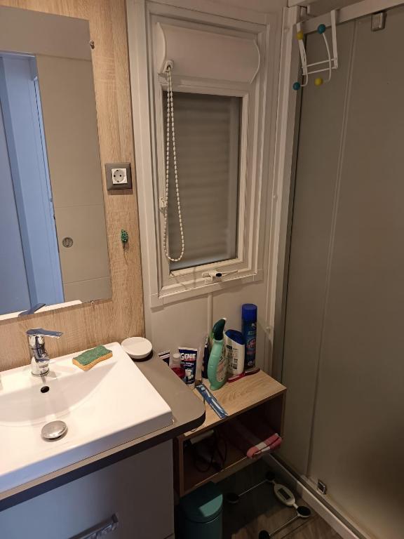 une salle de bain avec un lavabo, un miroir et une douche dans l'établissement Le petit paradis, à Fréjus