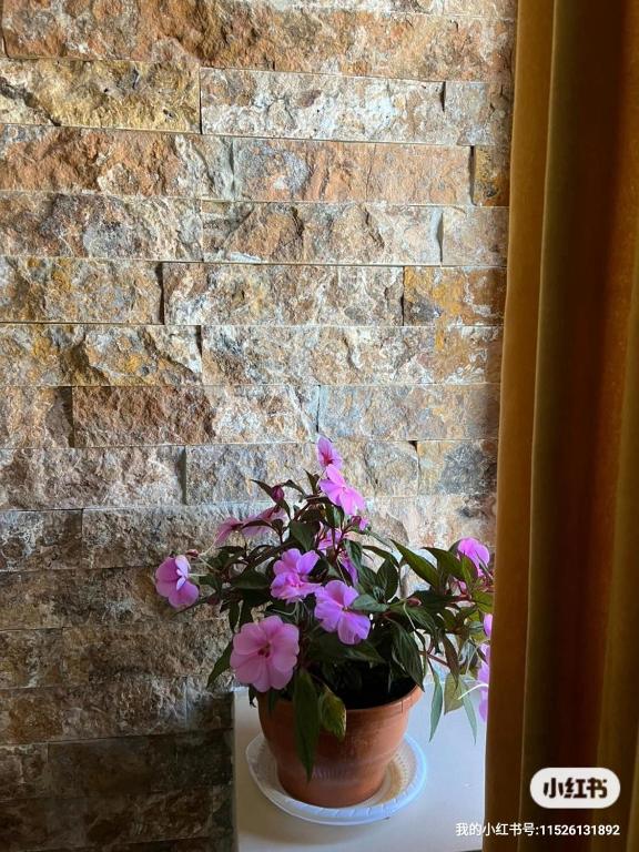 Fotografie z fotogalerie ubytování Guesthouse Relax in Kazbegi v destinaci Stepancminda