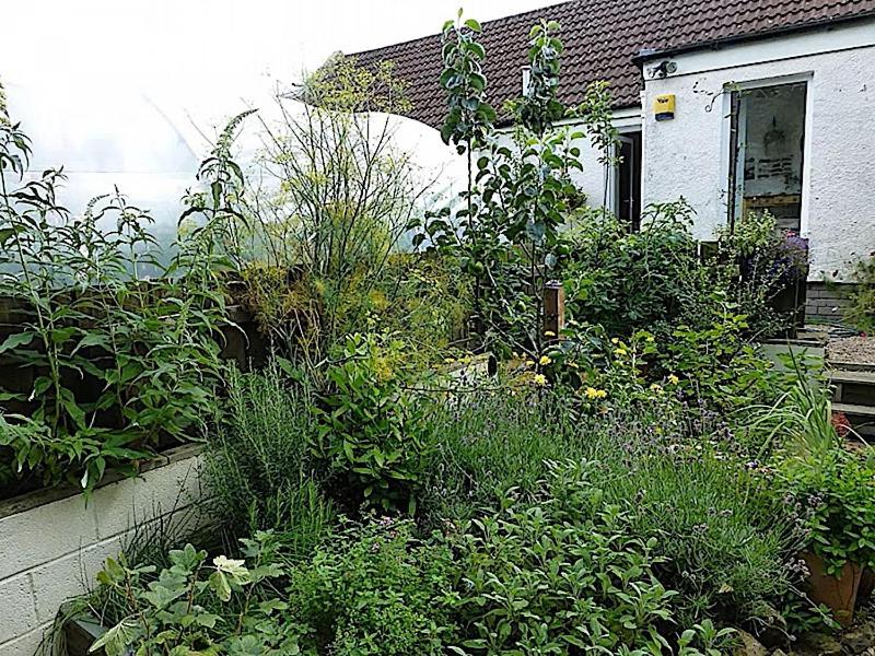 Zahrada ubytování 3 Bed Charming Cottage For Share ,Private Double Room , Fast Fibre Optik Int, Free Parking, Garden