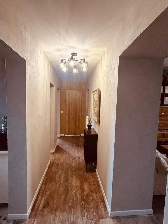 Photo de la galerie de l'établissement Comme chez le Notaire, à Freyming-Merlebach