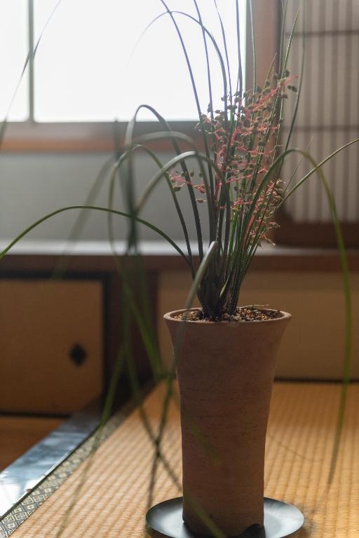 Fotografie z fotogalerie ubytování 篠山城下町ゲストハウス inosica v destinaci Tamba-sasayama