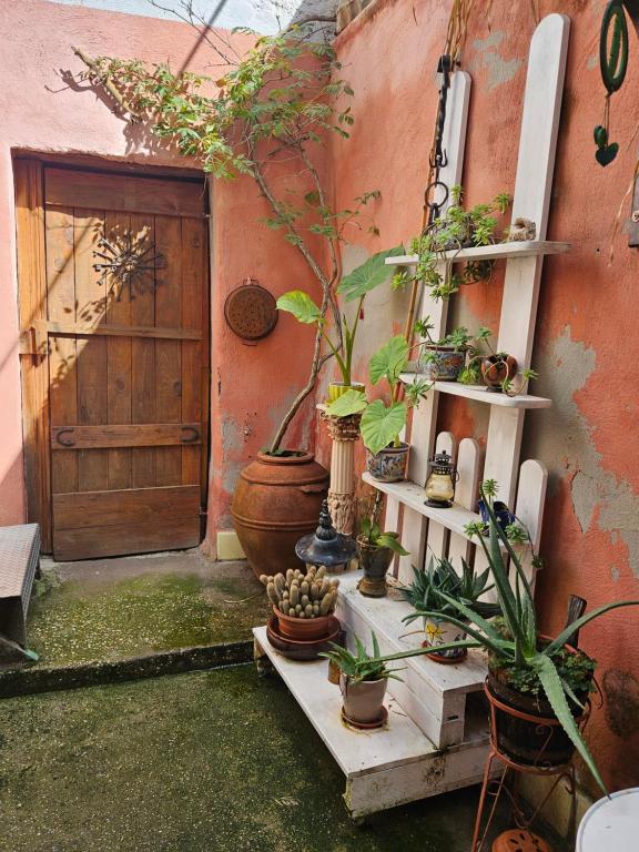 Zahrada ubytování L' Antico lavatoio