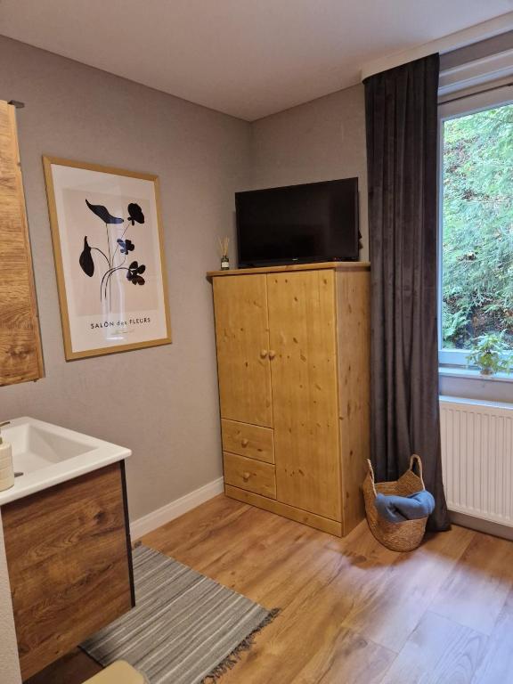 TV a/nebo společenská místnost v ubytování Harz Hotel Waldhaus