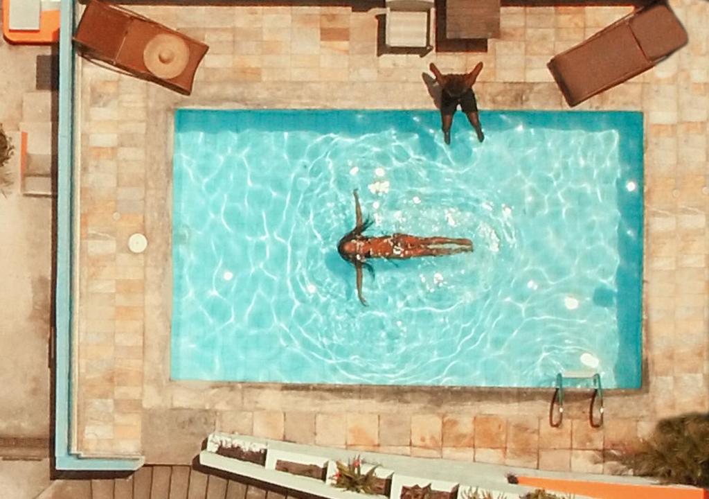 deux animaux nageant dans une piscine dans l'établissement Inn House Santa Teresa, à Rio de Janeiro