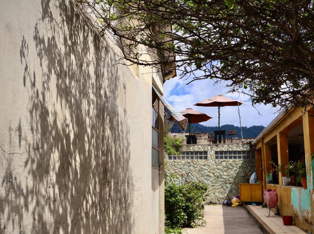 克萨尔特南戈Casa I`X的相册照片