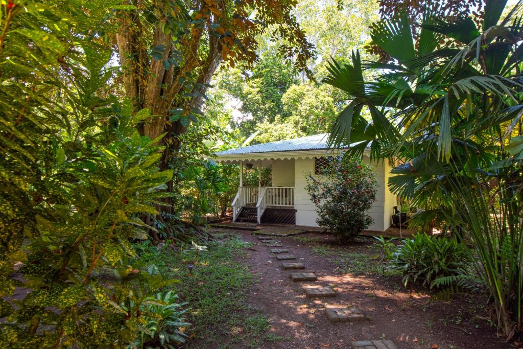 Playa Grande Lodge & Tree House - Appartement Met één Slaapkamer Met Terras