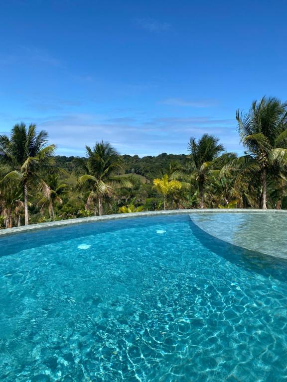 a swimming pool with palm trees in the background at La Maison Loosaï -Amφur- sans TV in Itacaré