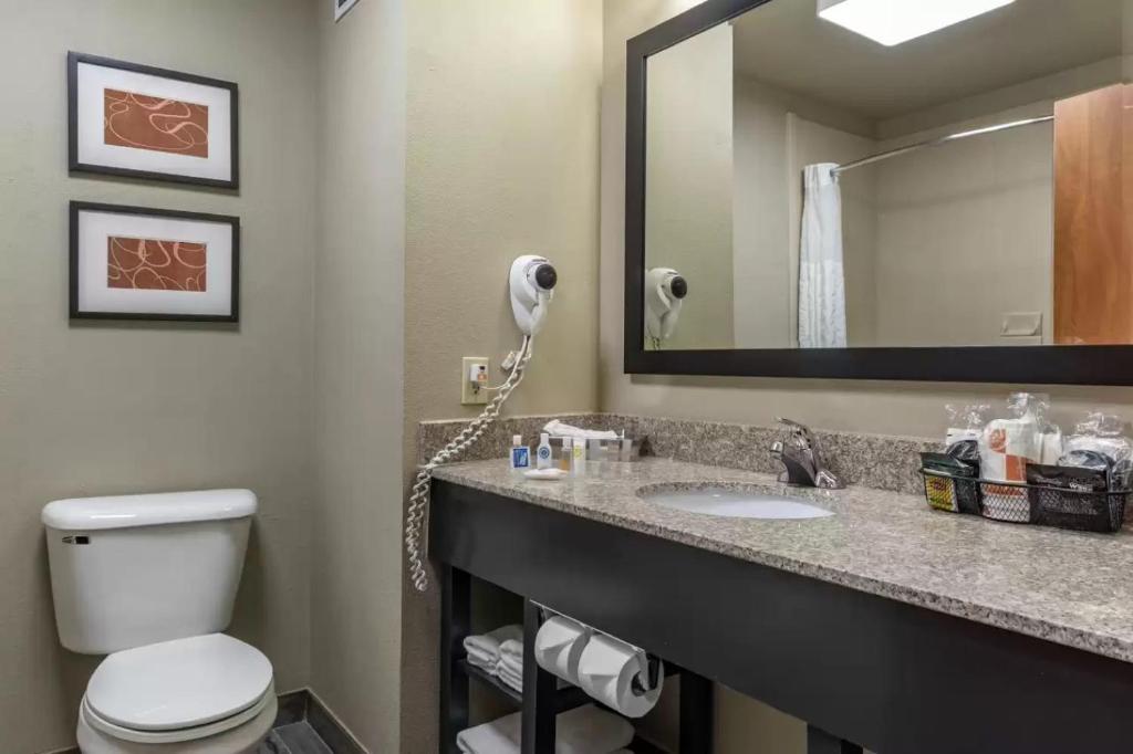 a bathroom with a toilet and a sink with a mirror at Comfort Inn & Suites Pauls Valley - City Lake in Pauls Valley