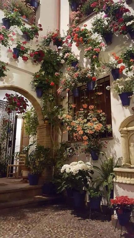 Zahrada ubytování Tu casa en Córdoba fácil aparcamiento