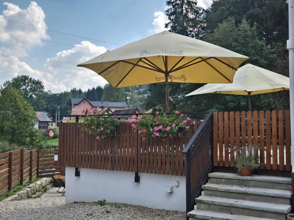 Zahrada ubytování HORSKÝ PENZION U SPLAVU