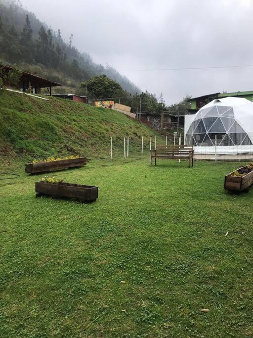 Zahrada ubytování Quinta Verde Limón