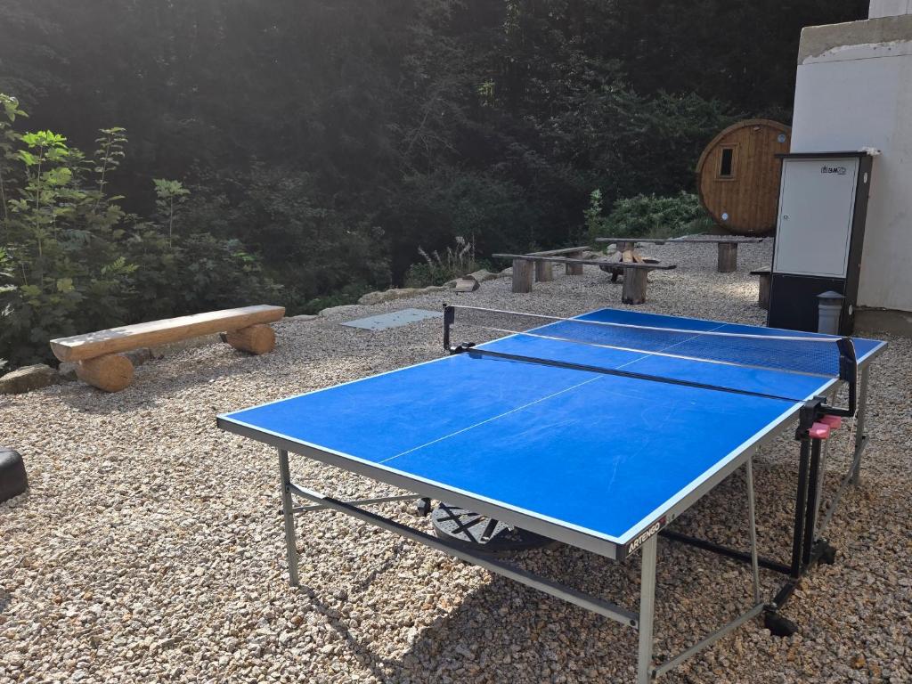 Stolní tenis v ubytování HORSKÝ PENZION U SPLAVU nebo okolí