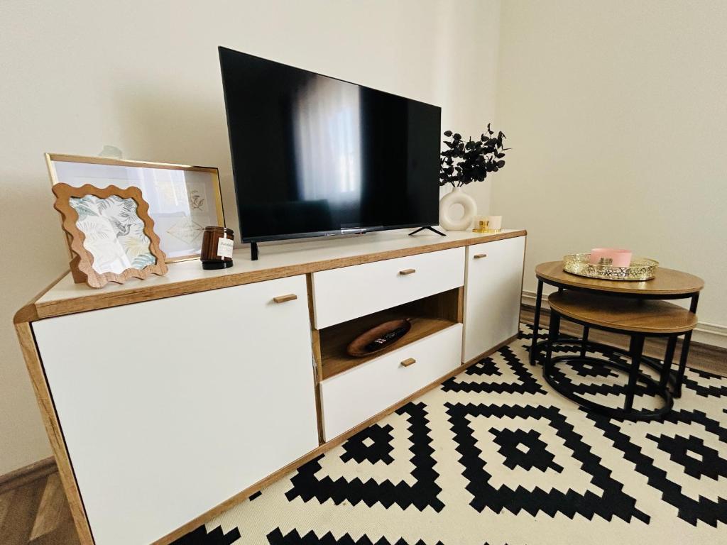 TV a/nebo společenská místnost v ubytování Brno Central Apartment