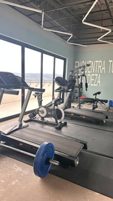 Fitness centrum a/nebo fitness zařízení v ubytování Distrito Artemisa Loft Apartments