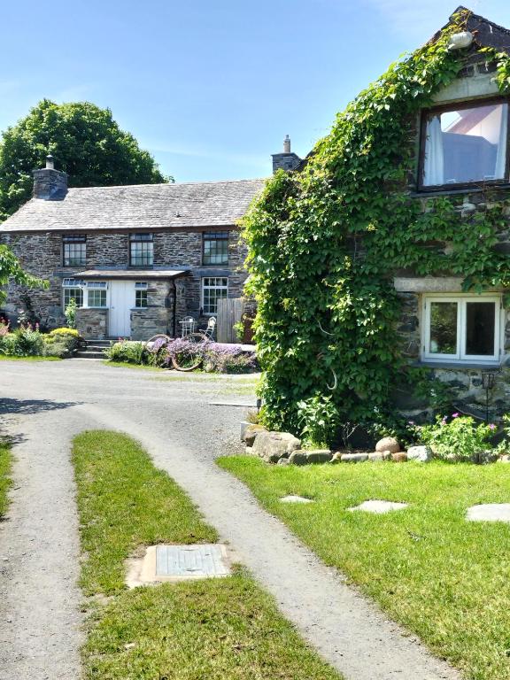 an ivy covered house with a gravel road at The Cosy Pad Glan Y Morfa Bach in Tywyn