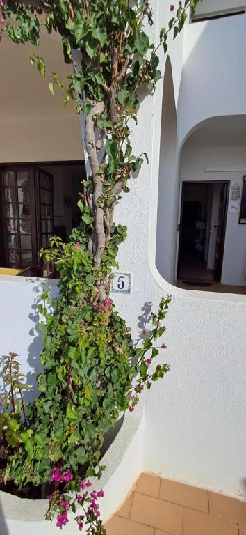 O edifício em que o apartamento se localiza