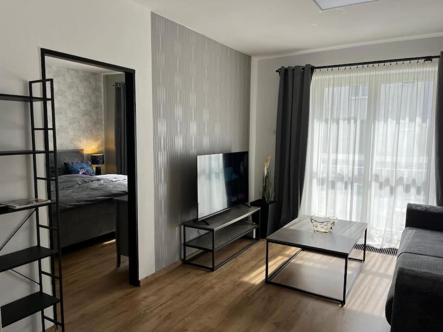 a living room with a couch and a television and a bed at Apartmán v centre mesta in Žilina