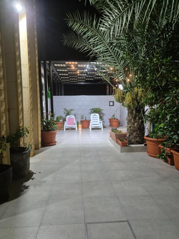 Zahrada ubytování Omani environment