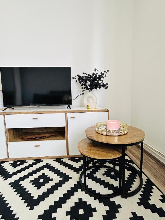 TV a/nebo společenská místnost v ubytování Brno Central Apartment