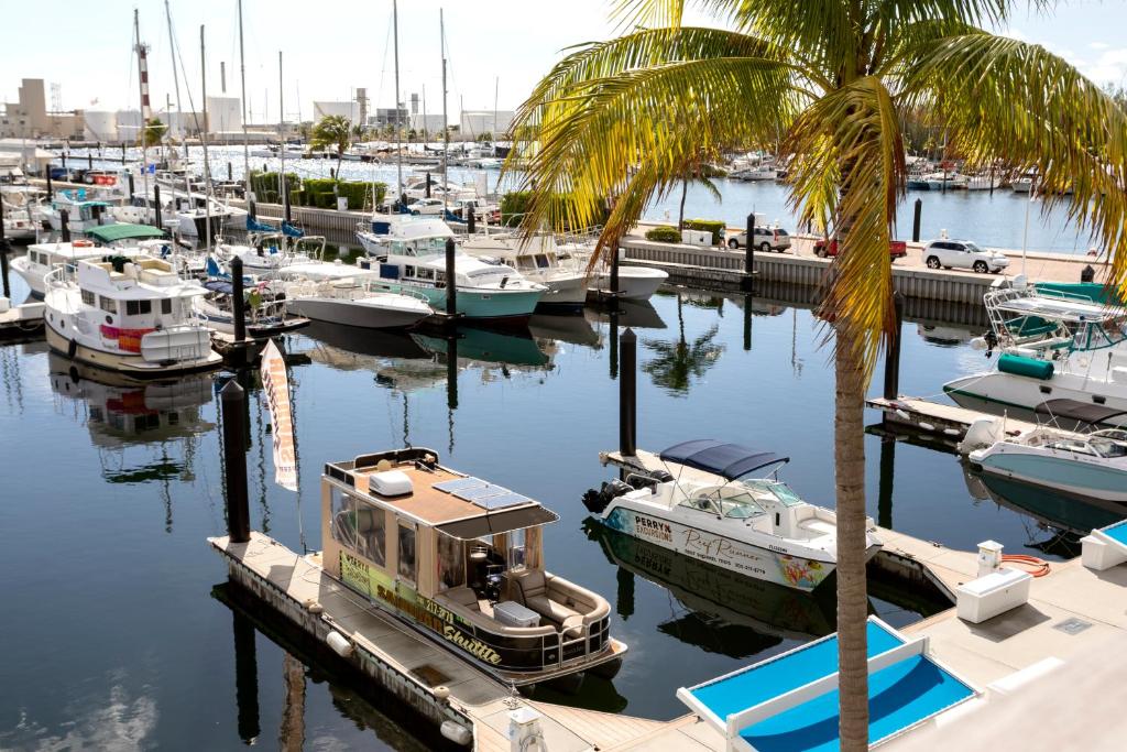 a group of boats docked in a marina with a palm tree at The Perry Hotel & Marina Key West in Key West