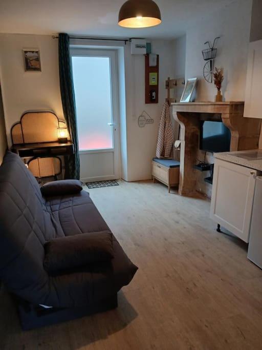 un salon avec un canapé et une cheminée dans l'établissement Petite maison studio cosy avec jardin, à Saint-Honoré-les-Bains