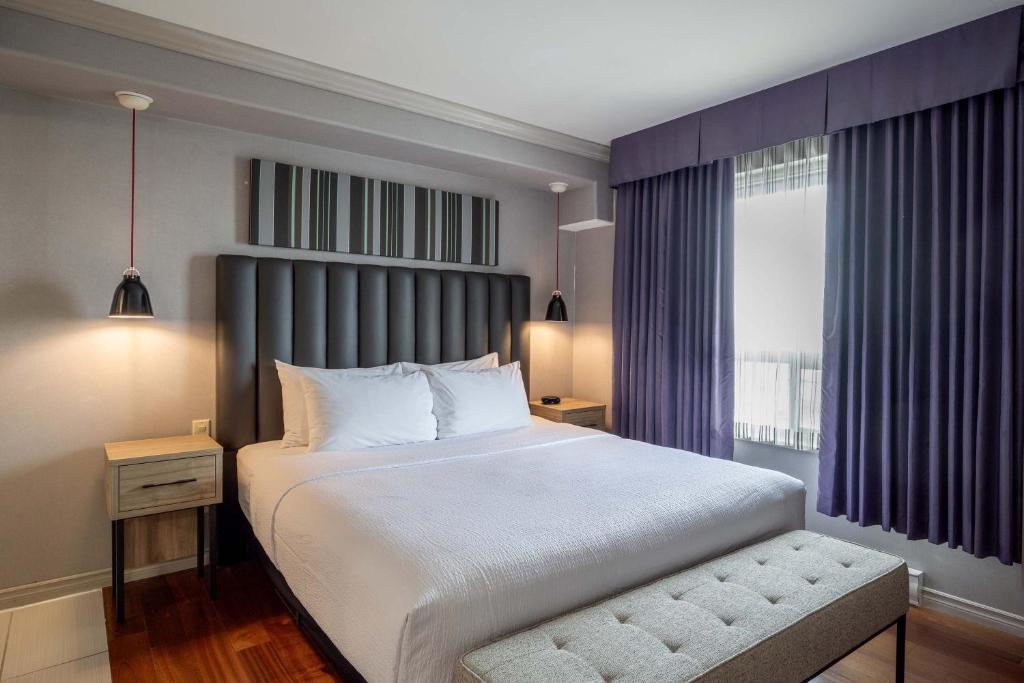 
Jacuzzi Suite, 1 King Bed, Sofa Bed, Kitchenette
