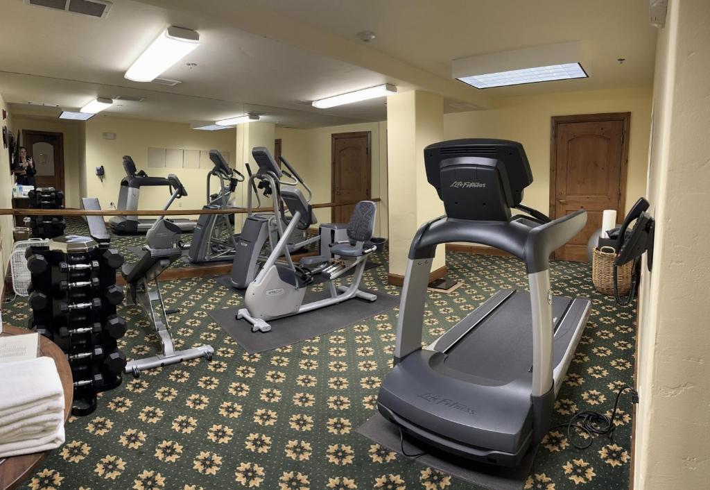 Fitness centrum a/nebo fitness zařízení v ubytování Austria Haus Hotel