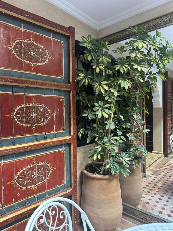 Zahrada ubytování Riad dar serenity