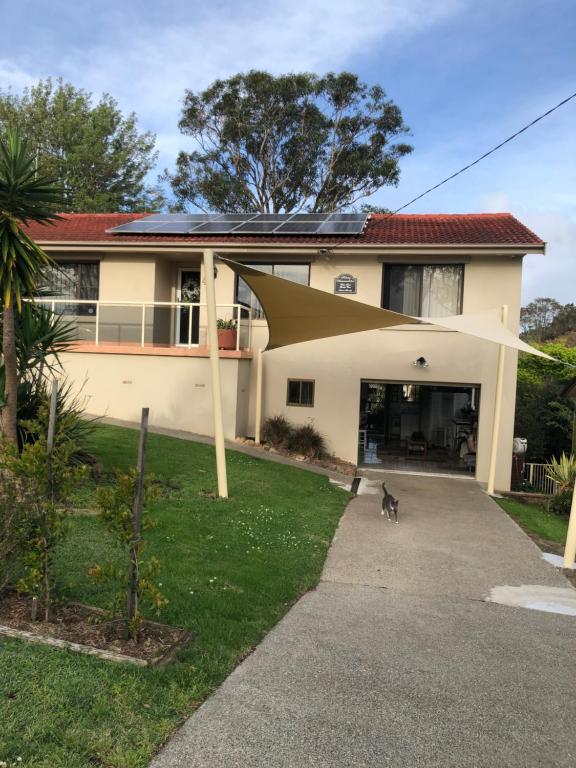 a cat walking in front of a house at Water Street - Garden Views in Forster