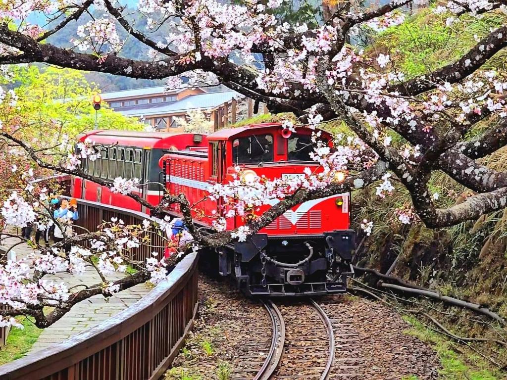 Fotografie z fotogalerie ubytování 天隆民宿Tian Long Tea Farm HomeStay v destinaci Le-yeh